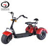 18inch*9.5 Fat Tire 3 Wheel Electric Scooter 