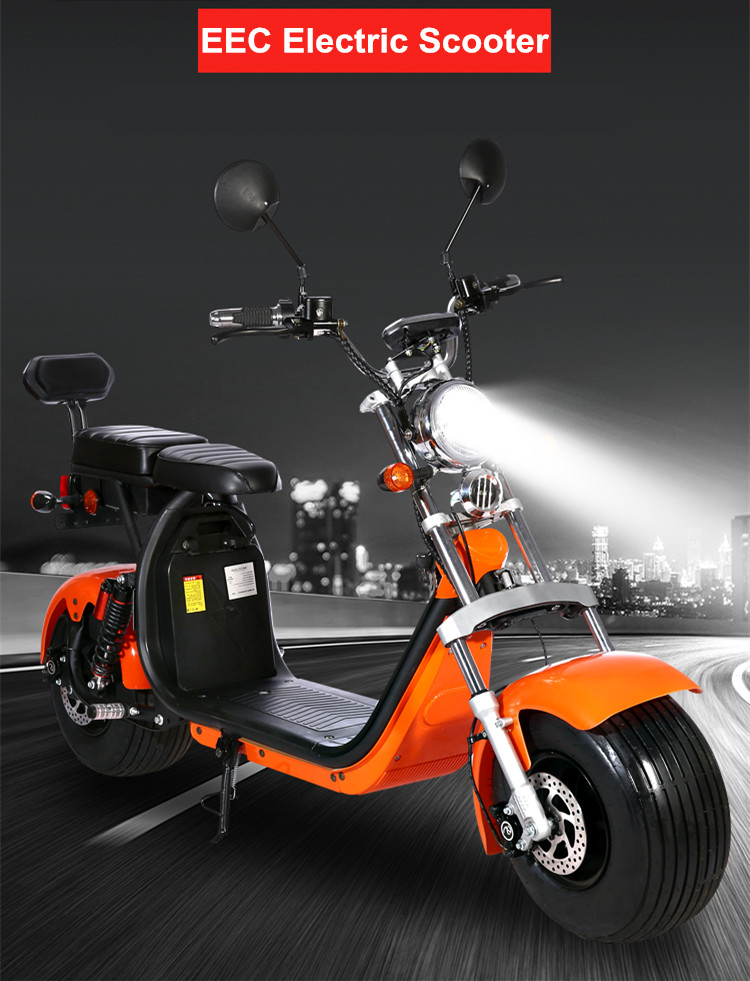 Citycoco electric scooter is most popular in the market