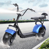 Two Seat Simple Citycoco Fat Tire Electric Scooter 