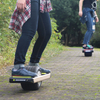 One Wheel Fat Tire Electric Bike For Adults