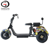 1000W/1500W Double Battery Citycoco 3 Wheel Electric Scooter 