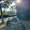 48 750 watts Chopper Electric Bicycle Fat Tire Ebike with Pedal Assist Electrical Bike Upgrade with Headlight LCD Display
