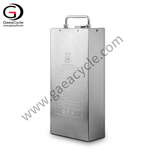 Removable Lithium Battery for Citycoco M1 M1P M2 M8