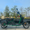 M2 Citycoco Chopper, Cheap price, Coc 45km/h, 60V 30ah 3000W, Fast Shipping from EU Warehouse Netherlands
