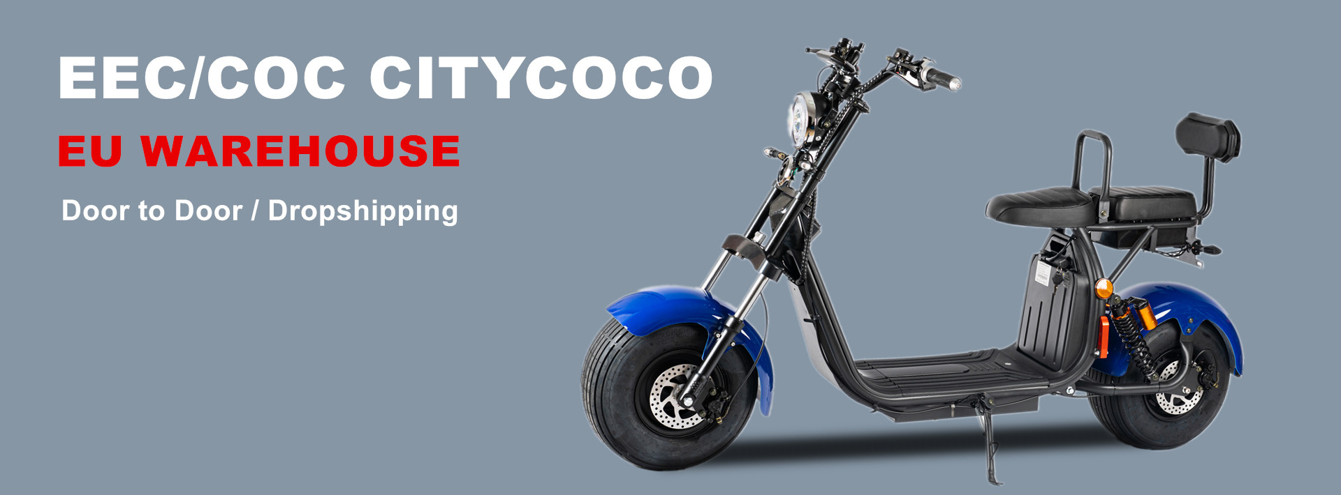 GAEA CHEAP DOUBLE BATTERIES EEC COC CITYCOCO ELECTRIC SCOOTER EU WAREHOUSE