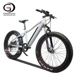 Newest 48v 500w/750w Hidden Battery Fat Tire Mountain Electric Bike for Ault