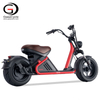 Newest EEC COC Approval Large Removable Battery Electric Scooter Citycoco Electric Motorcycle