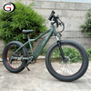 Newest 48v 500w/750w Hidden Battery Fat Tire Mountain Electric Bike for Ault