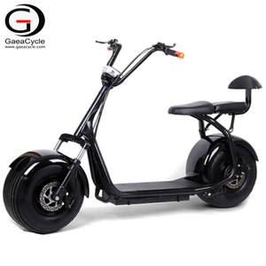 Two Seat Simple Citycoco Fat Tire Electric Scooter 