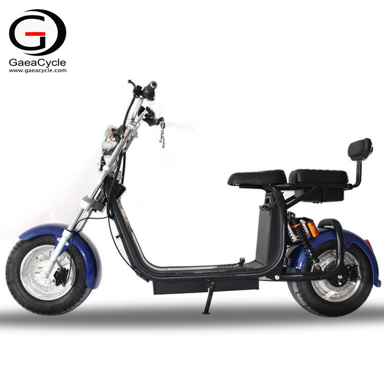 New Double Front Fork Double Battery Electric Scooter