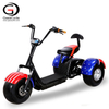 One Big Seat Citycoco 3 Wheel Electric Scooter 