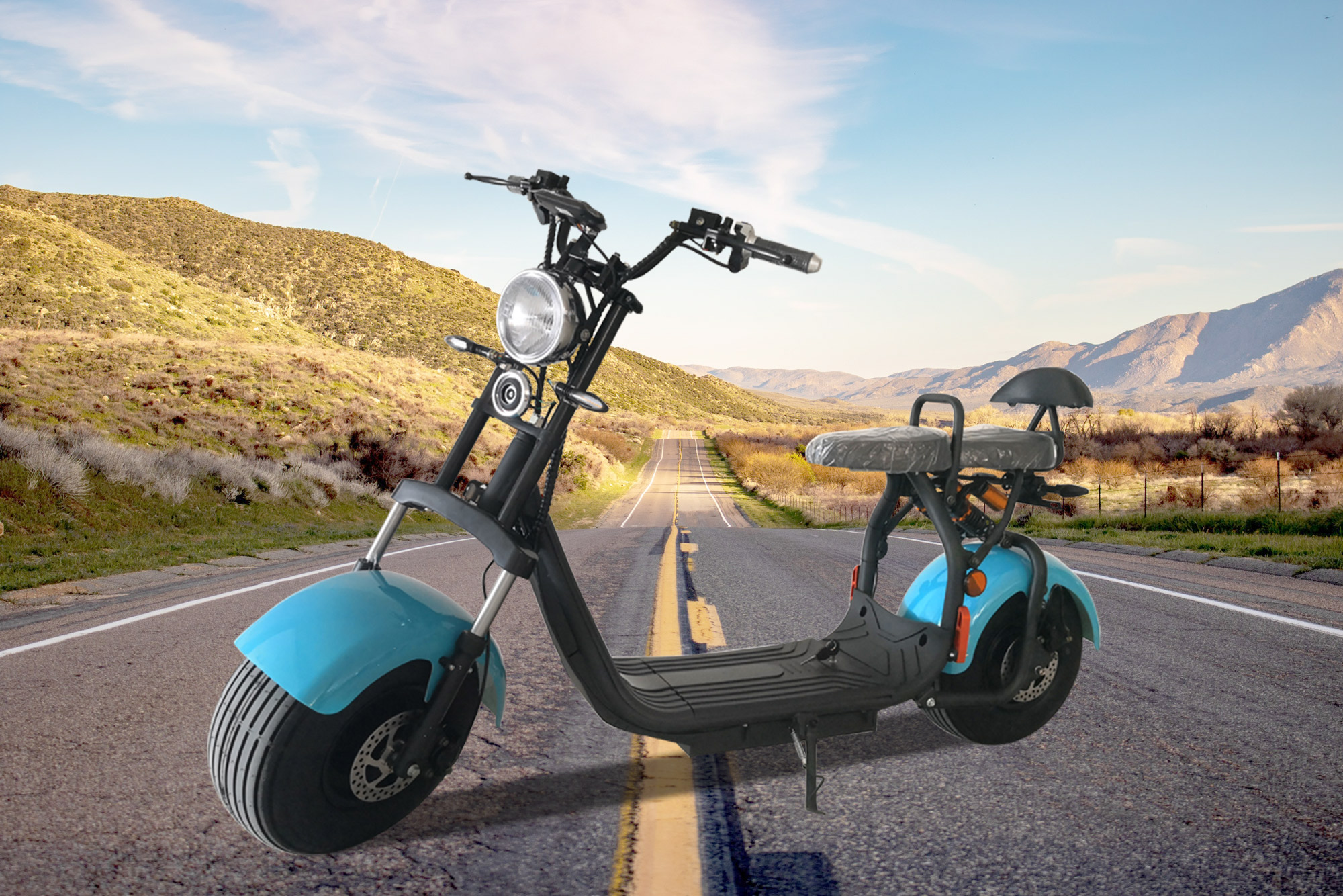 One container new EEC electric scooters will be shipped to Europe