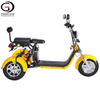 GaeaCycle Powerful 3wheel Electric Delivery scooter EEC COC with Rear Basket