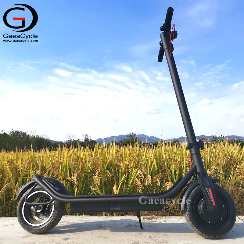EU Warehouse Stock Electric Scooter 36v 350w 10inch Tire Kick Foldable Escooter