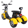 EEC COC Approval 1500W Double Battery Citycoco 3 Wheel Electric Scooter 