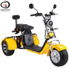 Powerful 3 Wheel Electric Scooter EEC COC 2000w Citycoco for Adult
